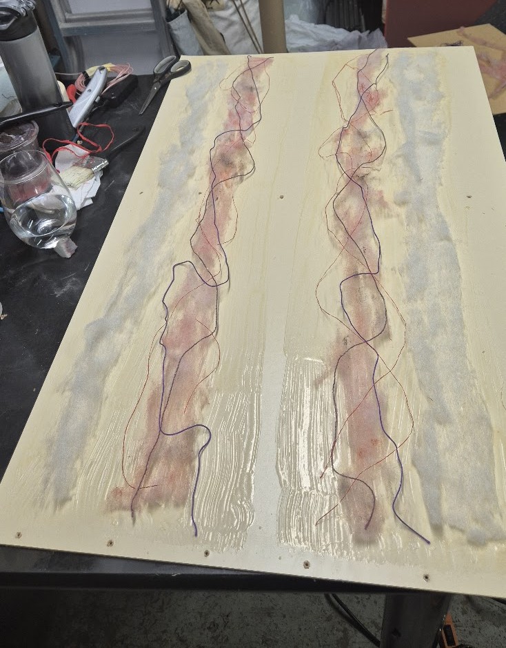 Intestine Prop