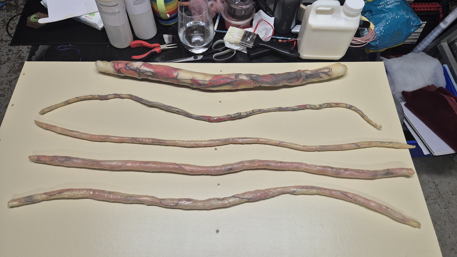 Intestine Prop