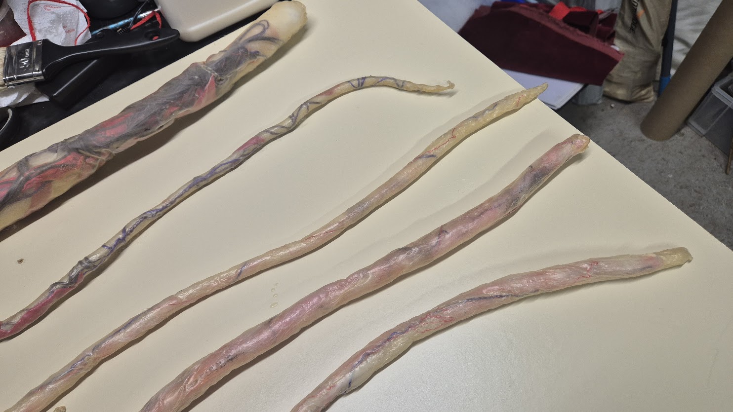 Intestine Prop